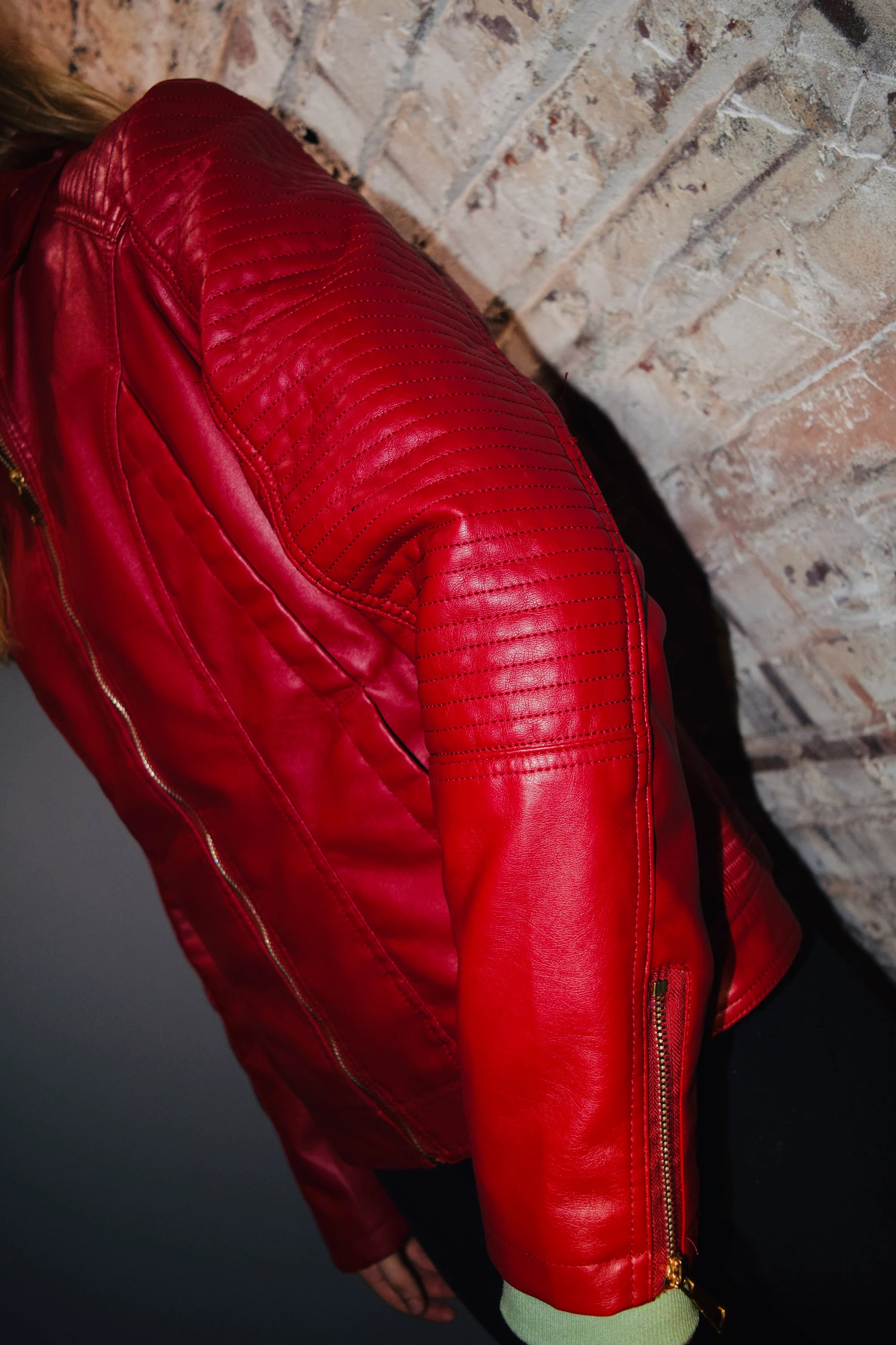 Red Skater Dog Jacket Removable Hood